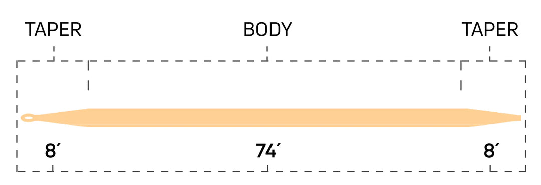 Cortland Classic Series 444 Peach Double Taper