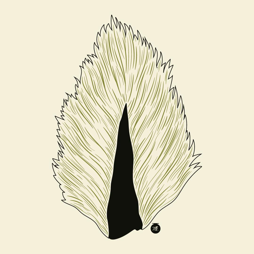 Musky Fool™ Bob & Hook Bucktail T-Shirt