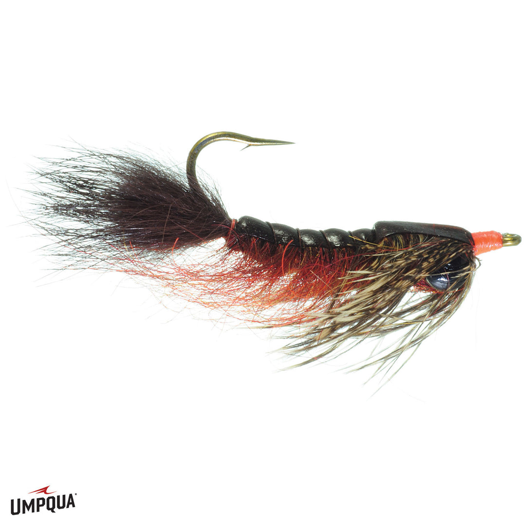 Umpqua Barry's Carp Fly