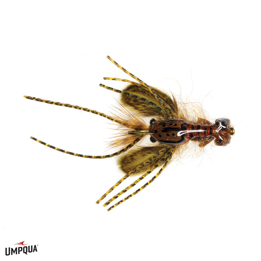 Umpqua Hada's Creek Crawler