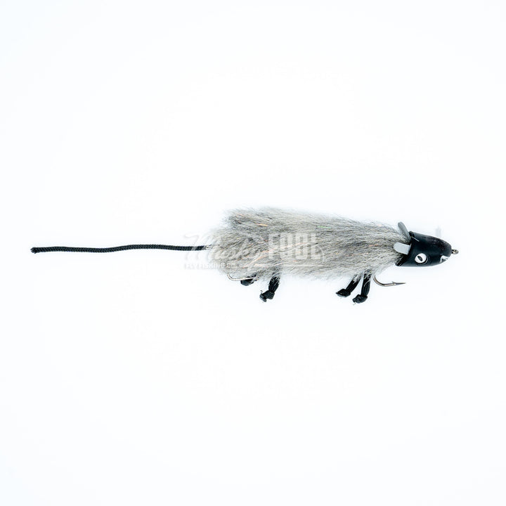 Simpson's Rat Fly