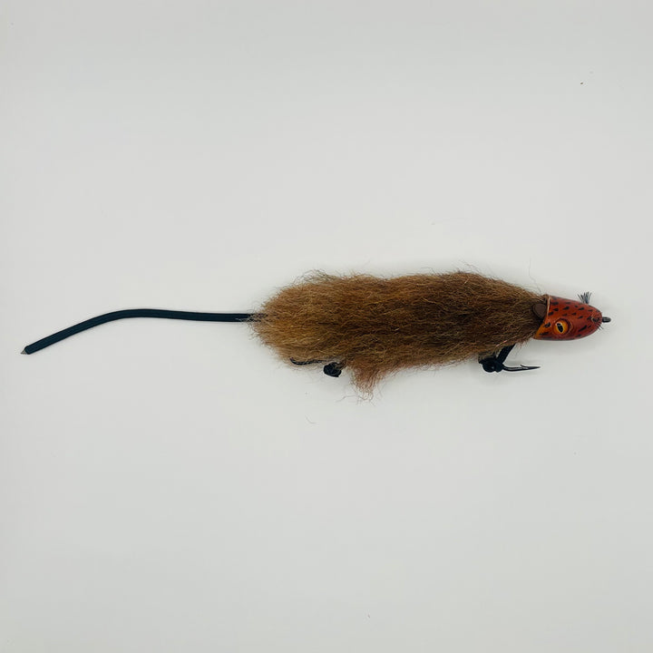 Simpson's Rat Fly