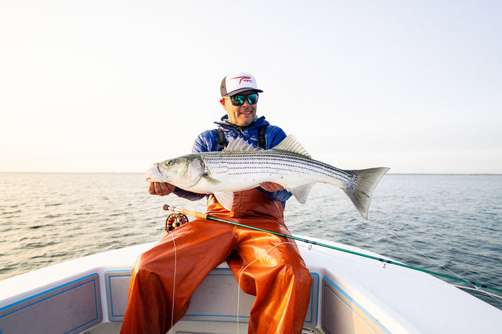 Temple Fork Outfitters Blitz Fly Rod