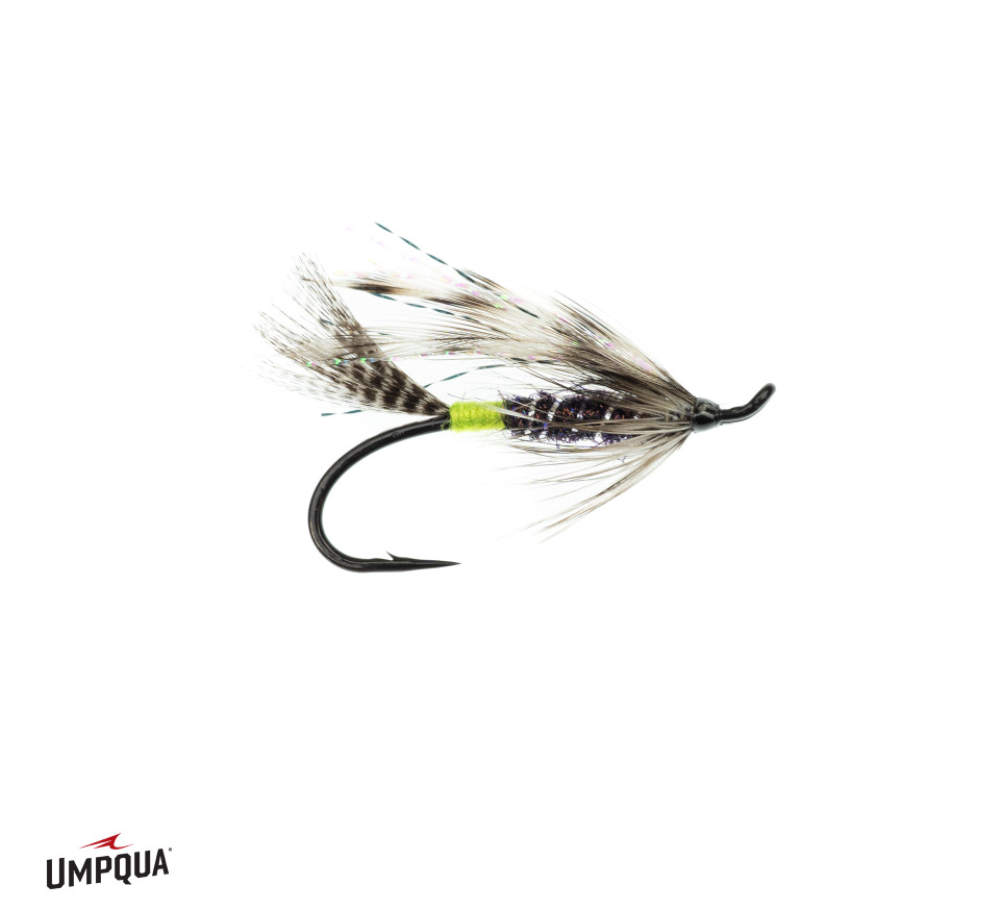 Umpqua Verde Trasero Plata Hilton