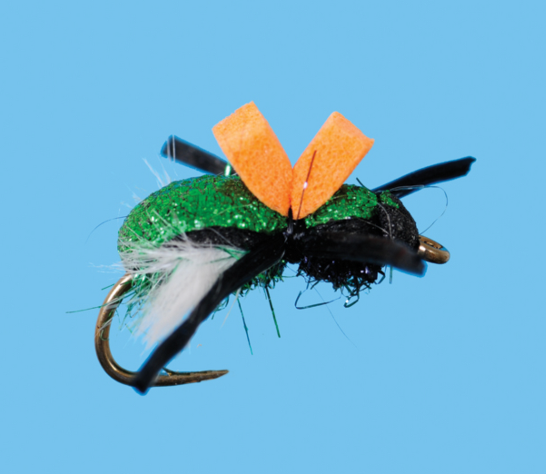 Solitude Green Beetle
