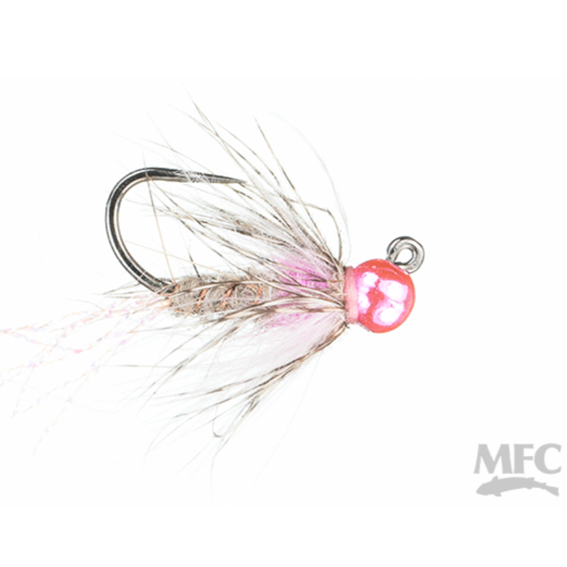 MFC Brillon's Rabid Pink Squirrel