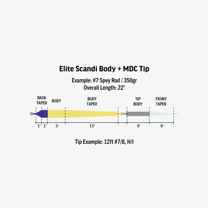 Rio Elite Scandi MDC-Kit Short