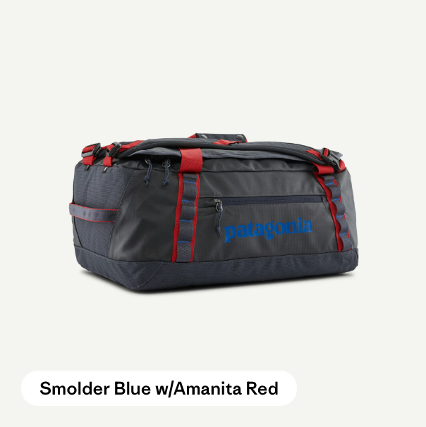 Patagonia Black Hole Duffel 40L – Musky Fool