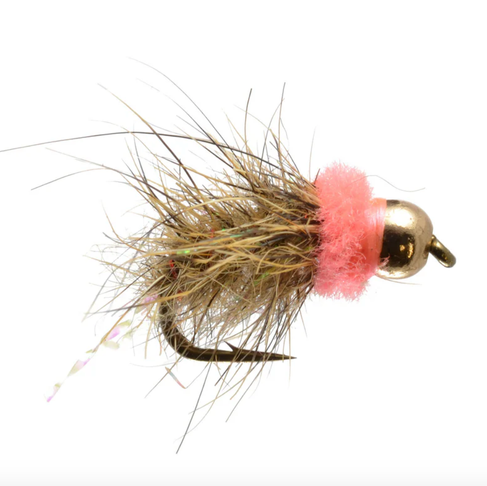 Ardilla rosa de tungsteno de Bethke