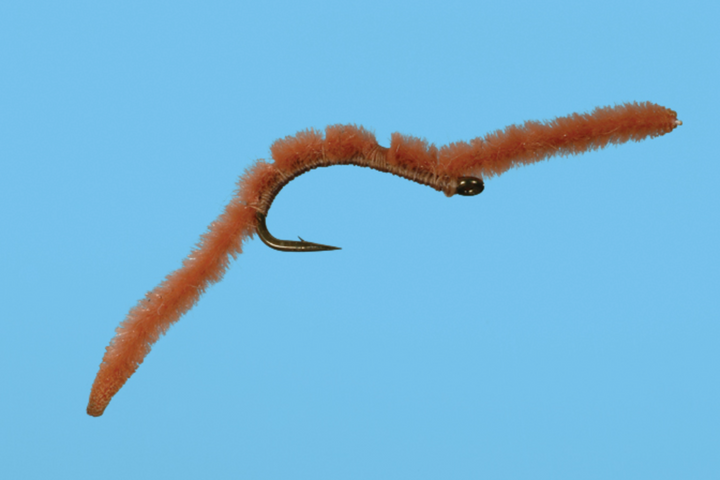 Solitude San Juan Worm