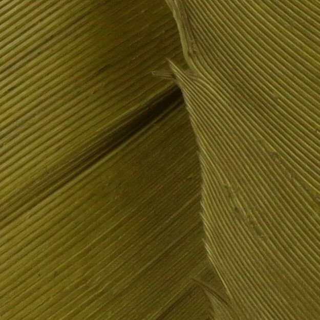 Plumas Hareline Pavo Biot