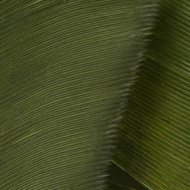 Plumas Hareline Pavo Biot