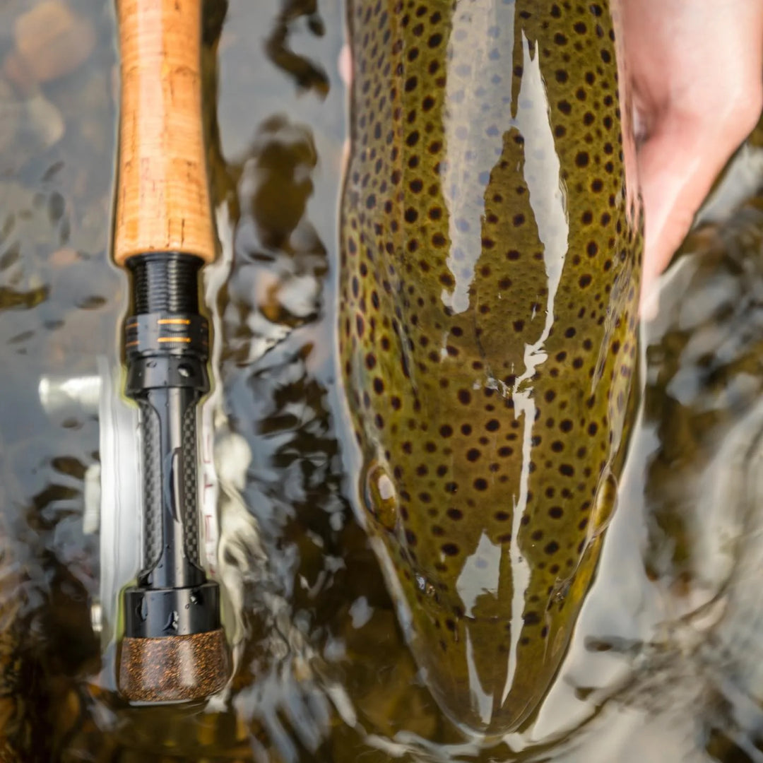 Cortland Competition MKII Fly Rod - Euro Nymph