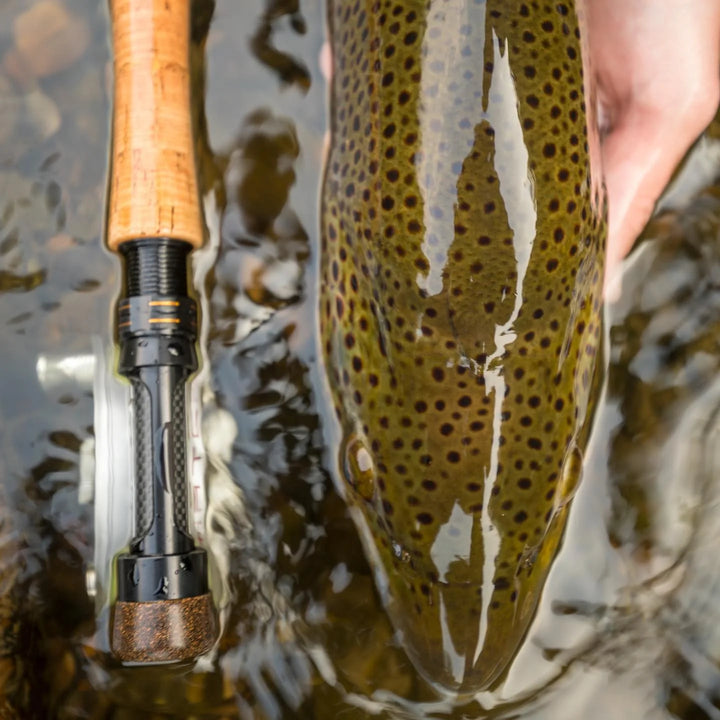 Cortland Competition MKII Fly Rod - Euro Nymph