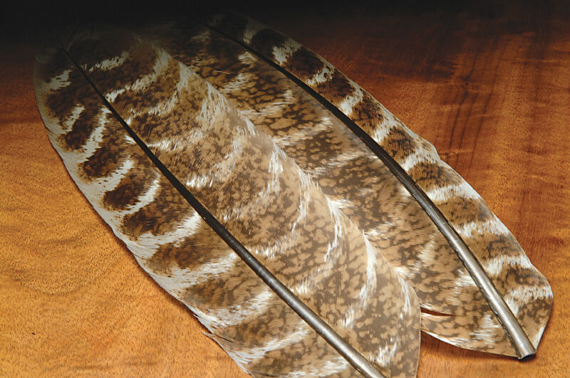 Plumas de pavo moteadas de roble Hareline Ozark