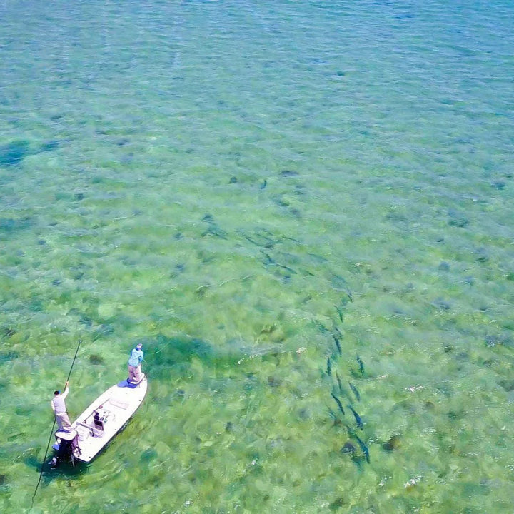 Cortland Tarpon Fly Line