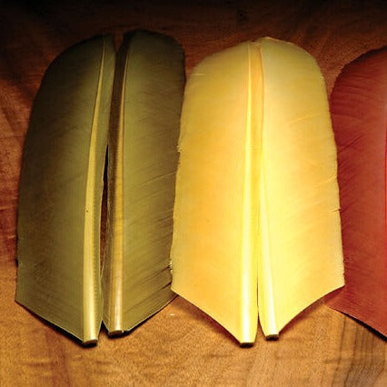 Plumas Hareline Pavo Biot