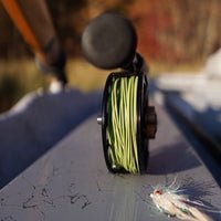 Cortland Streamer Sink Tip 10 Fly Line