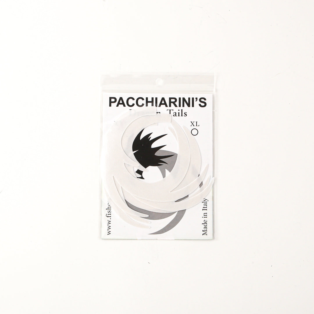 La cola del dragón de Pacchiarini