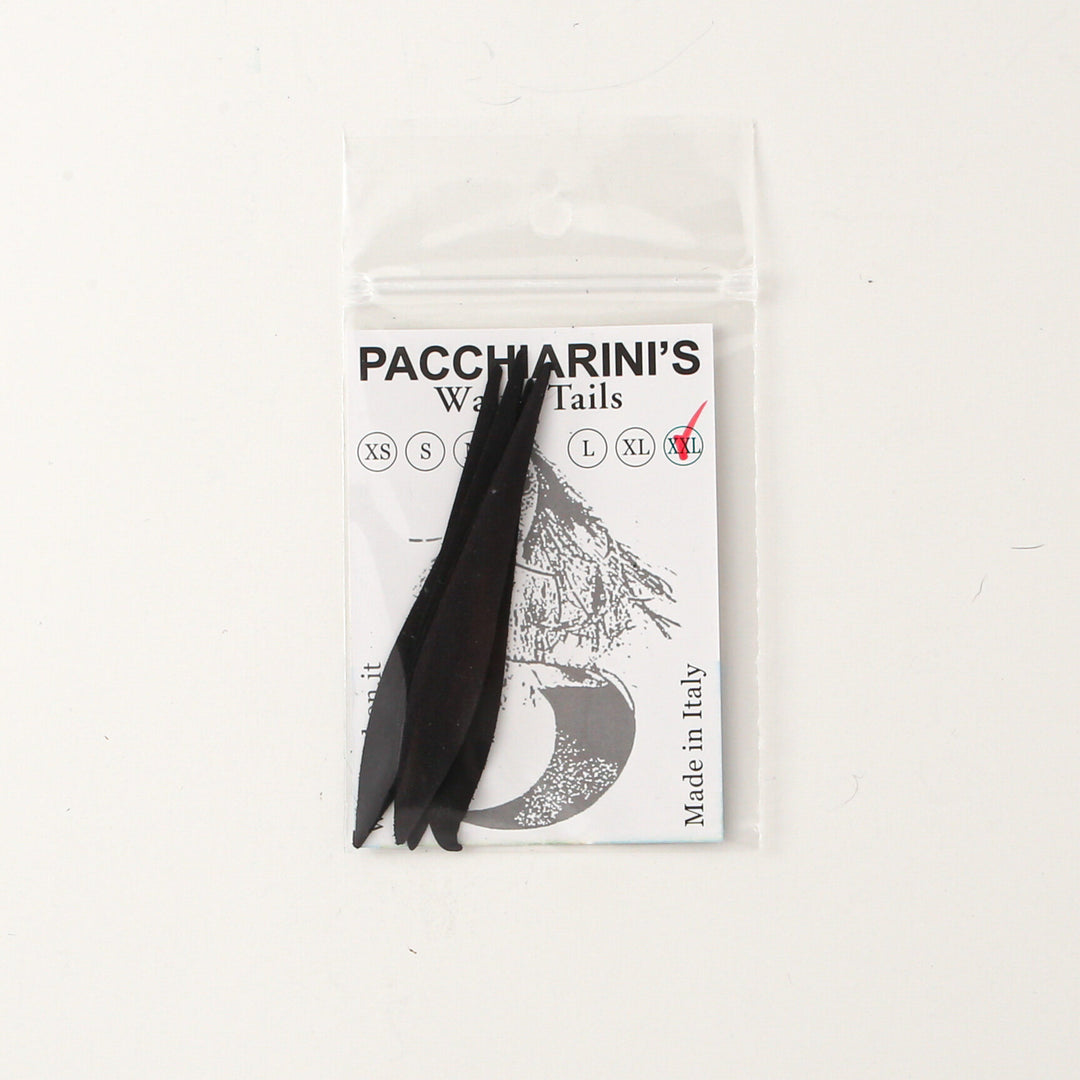 Las colas onduladas de Pacchiarini