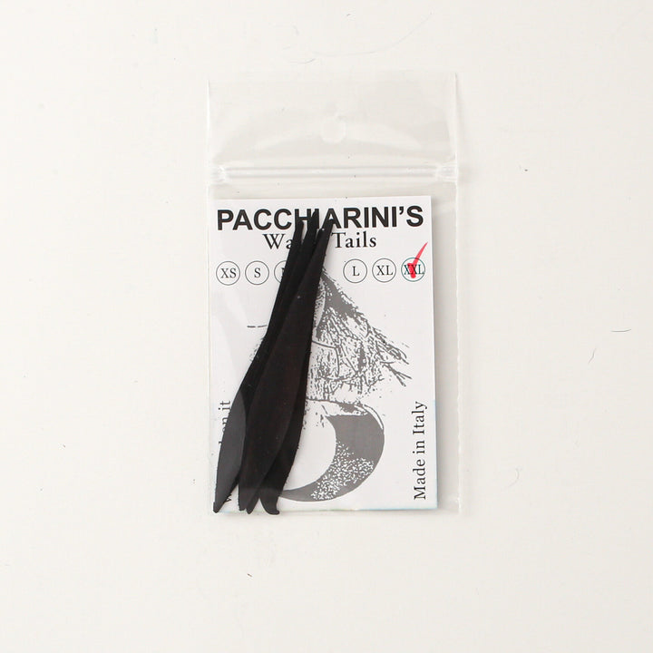 Las colas onduladas de Pacchiarini