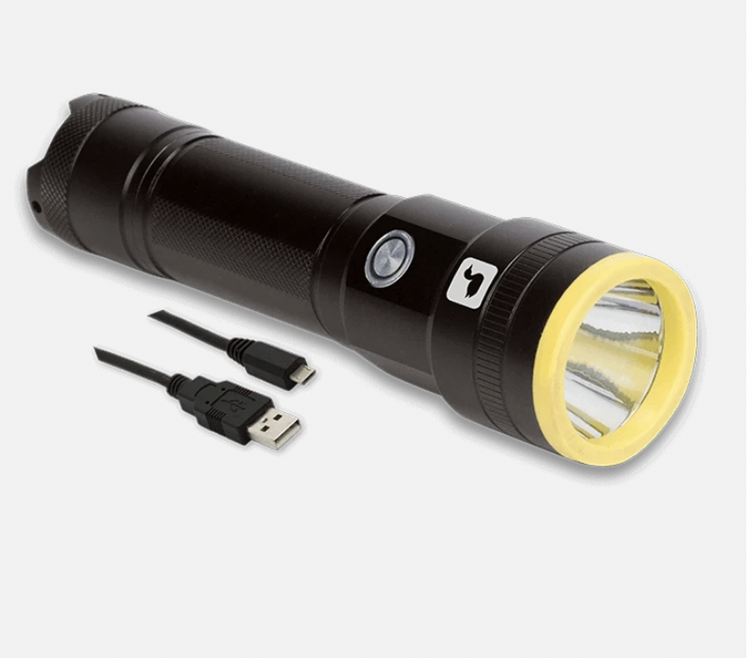 Loon Plasma Light