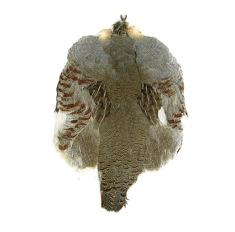 Wapsi Hungarian Partridge Whole Skin