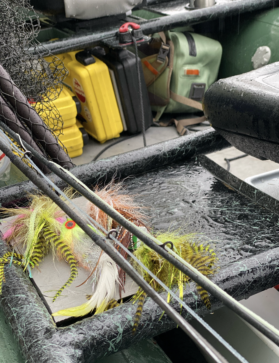 Cliff's Bugger Beast Fly Box