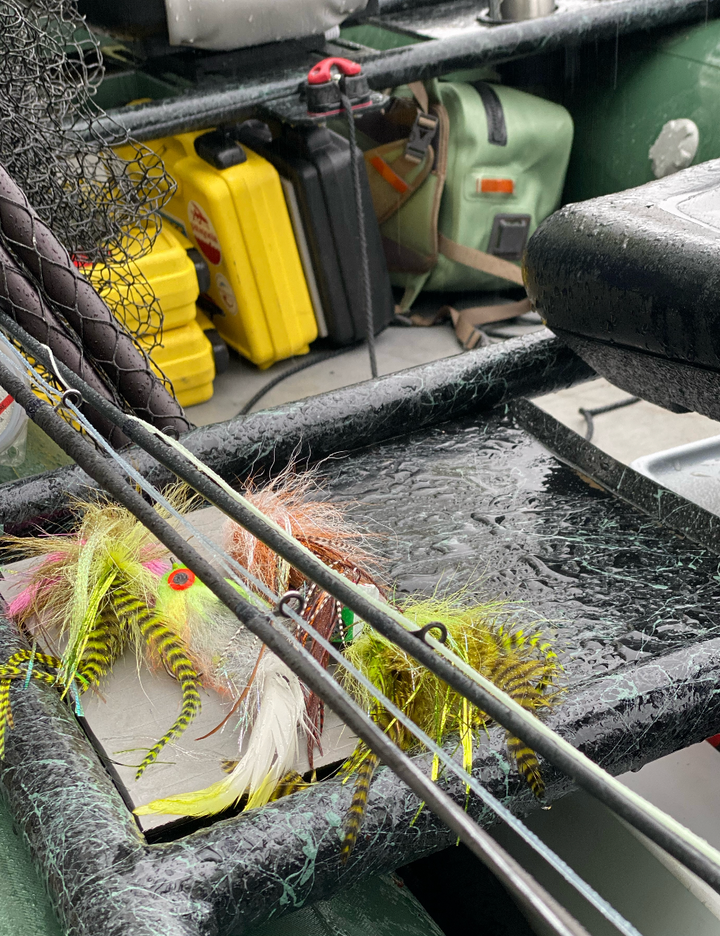 Cliff's Bugger Beast Fly Box