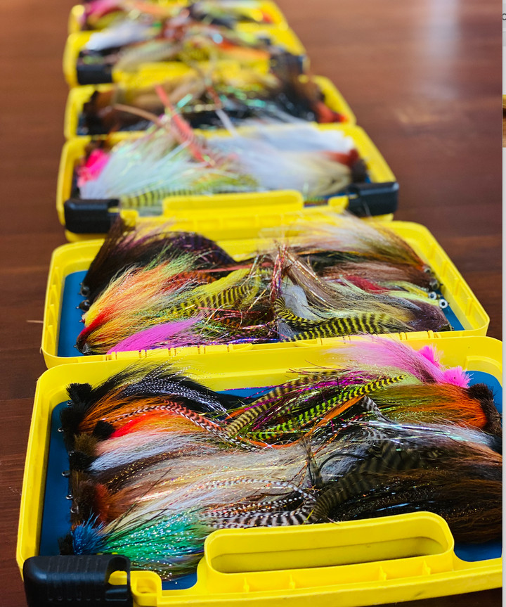 Cliff's Bugger Beast Fly Box