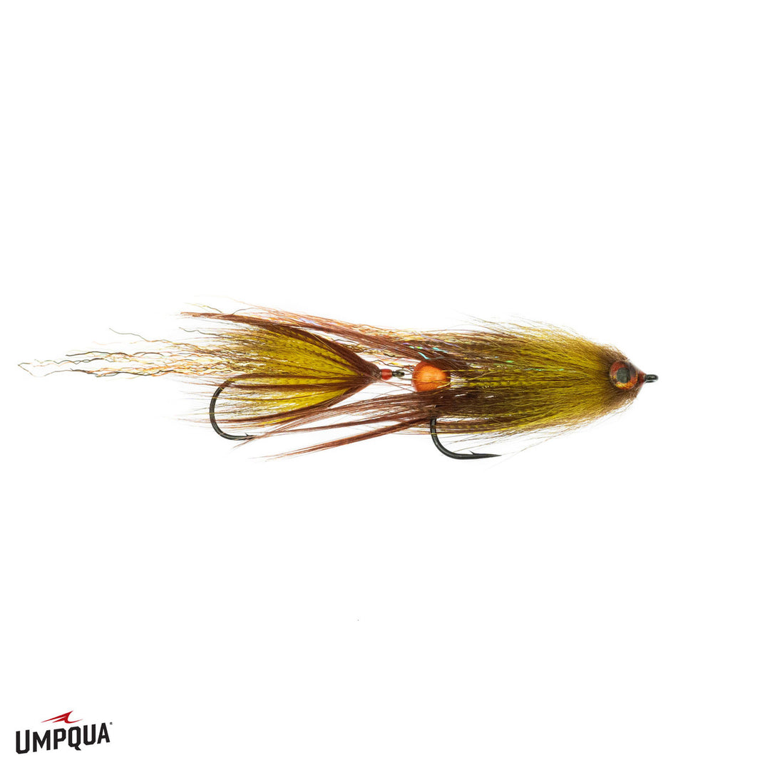 Umpqua Craven's Swim Coach
