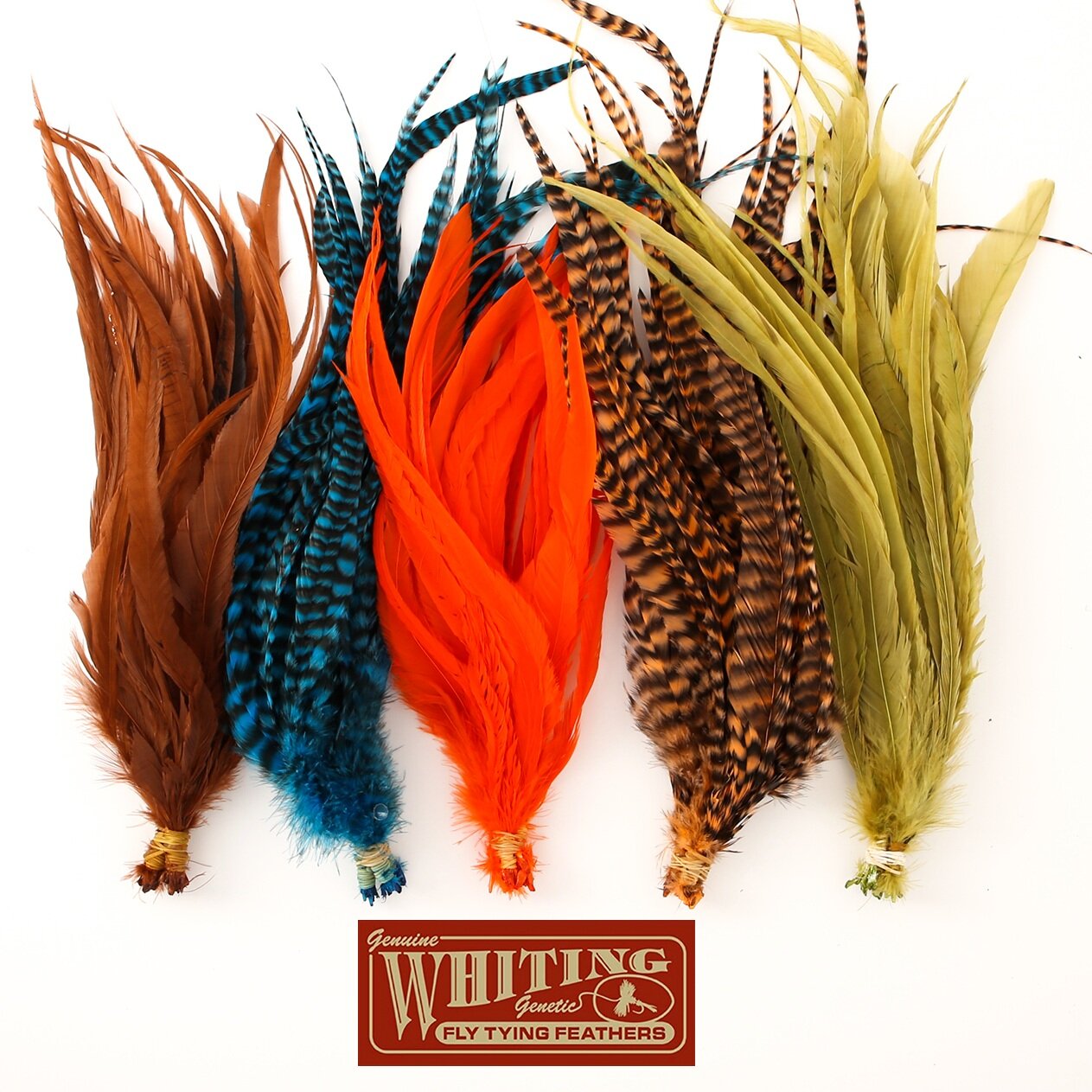 Understanding Schlappen Feathers for Fly Tying