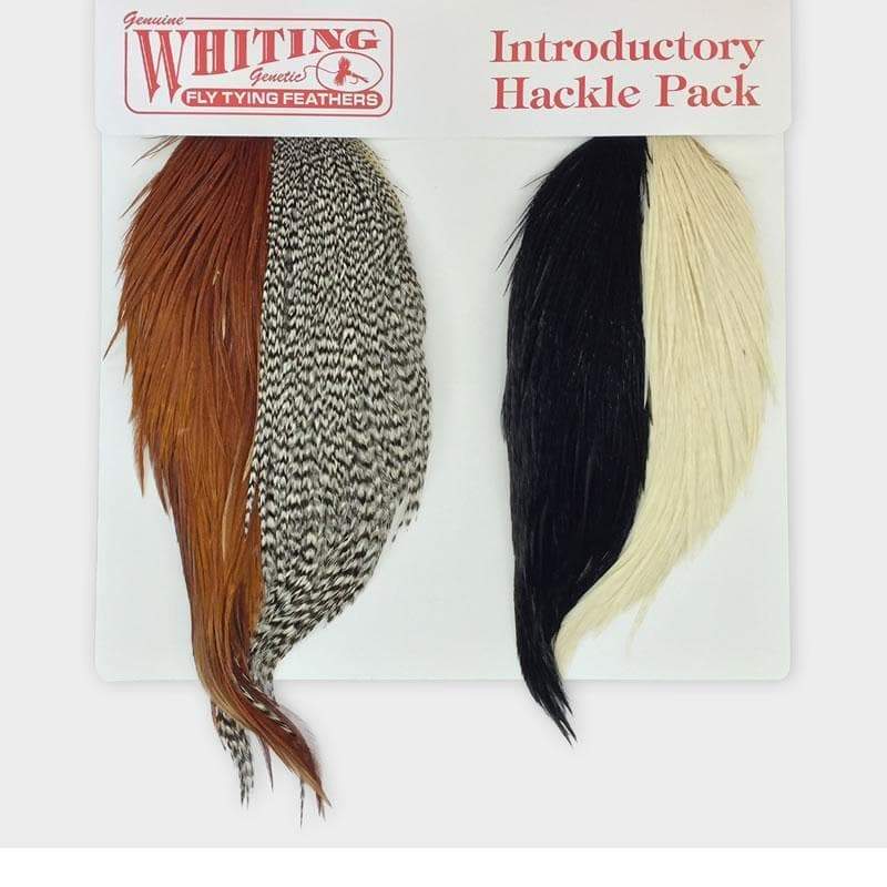 Paquete introductorio de Hackle de Whiting Farms