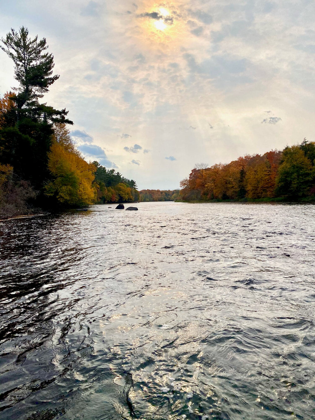 The Musky Fly Rod Drought