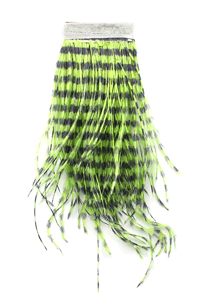 MFC Strung Barred Ostrich