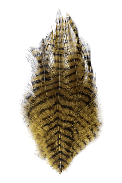 MFC Barred Saddle Hackle - Olive/Black