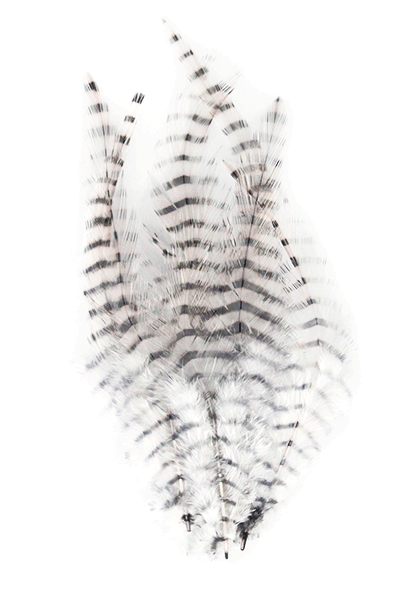 MFC Barred Saddle Hackle