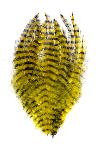 MFC Barred Saddle Hackle - Yellow/Black