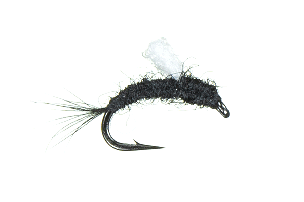 MFC Foam Wing RS2