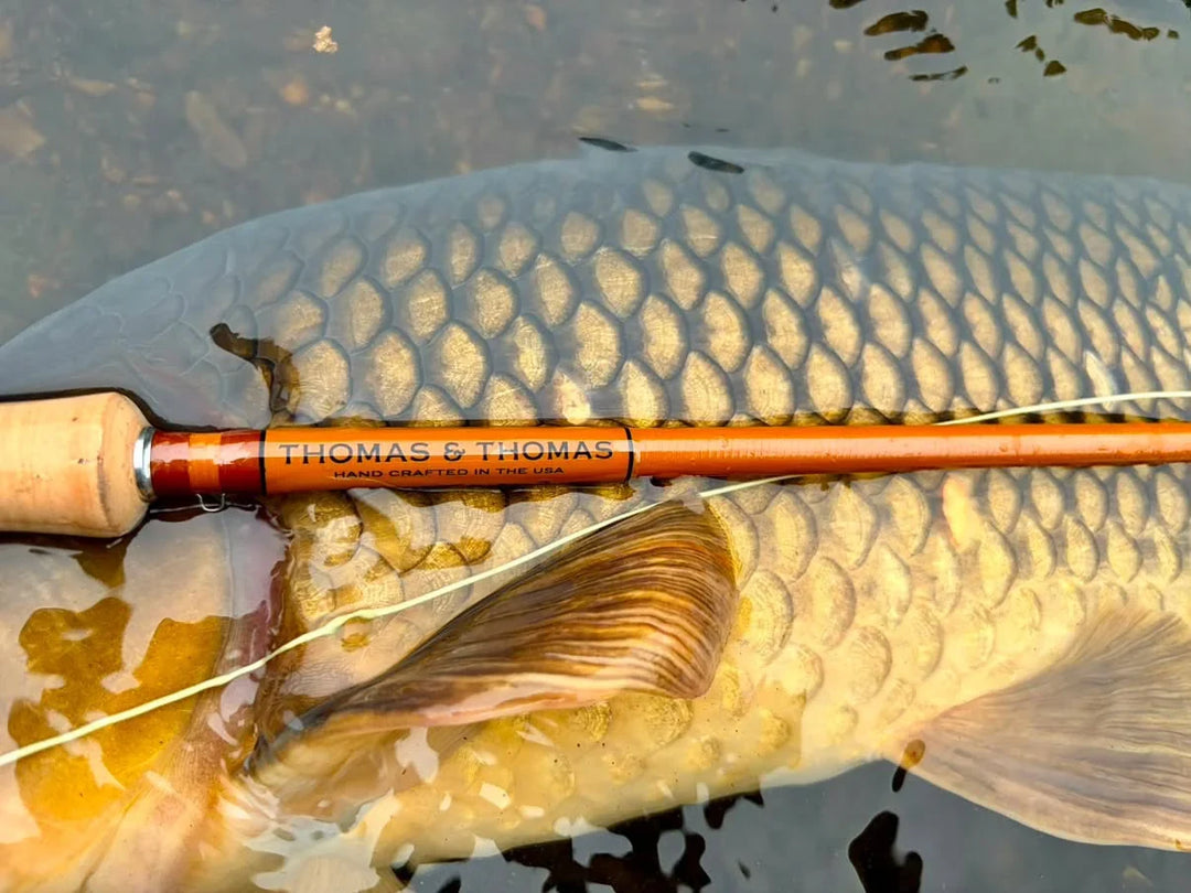 Thomas &amp; Thomas Lotic II 2 Freshwater Fly Rods