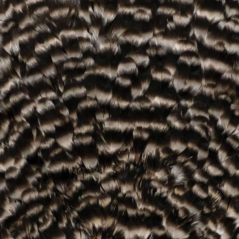 Whiting Farms 4 B's Hen Saddle