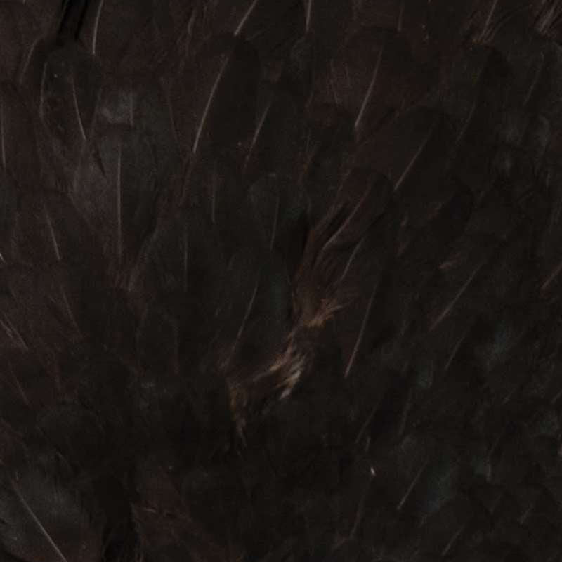 Whiting Farms 4 B's Hen Saddle