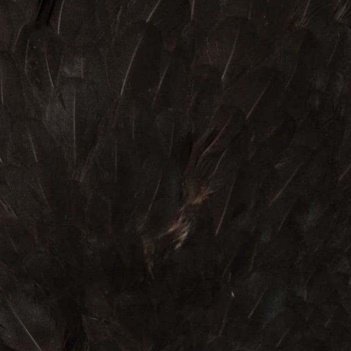 Whiting Farms 4 B's Hen Saddle