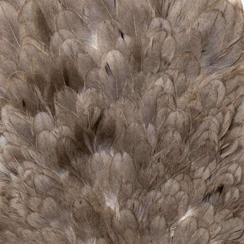 Whiting Farms 4 B's Hen Saddle