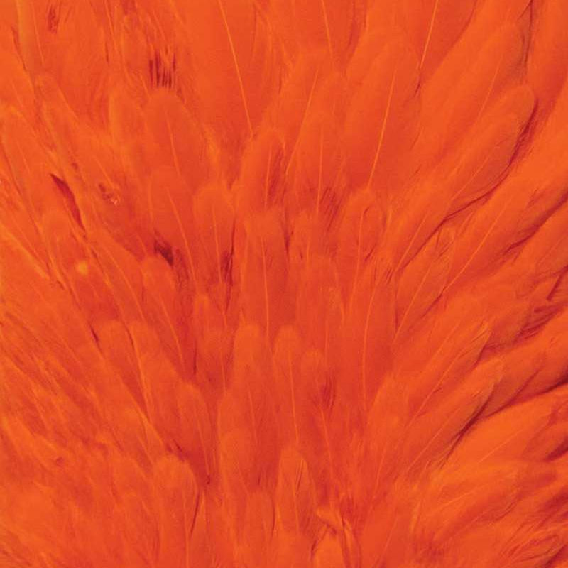 Whiting Farms 4 B's Hen Saddle