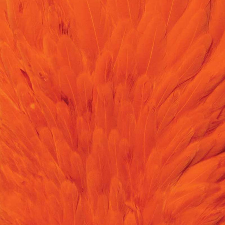 Whiting Farms 4 B's Hen Saddle