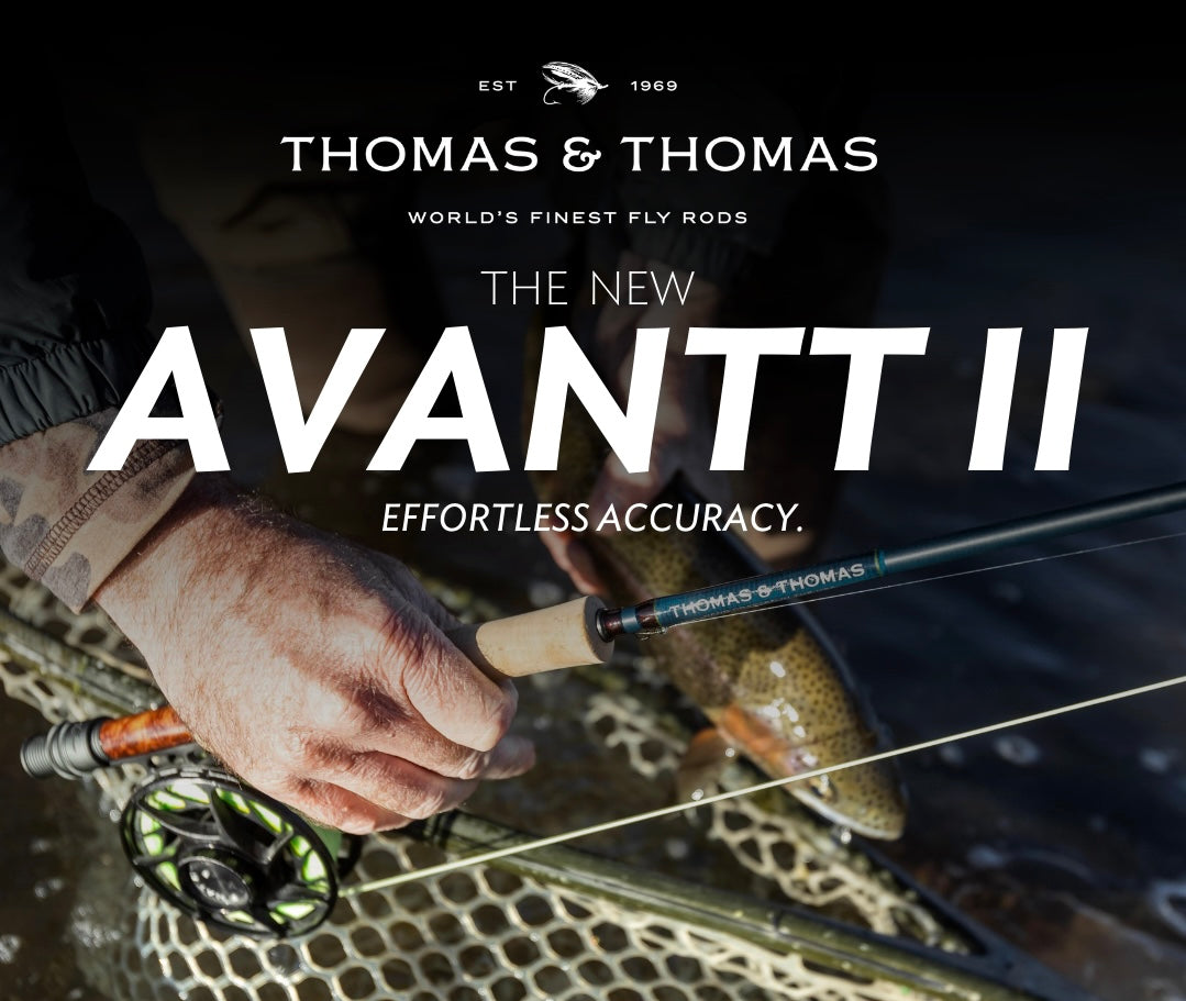 Thomas &amp; Thomas Avantt II 2