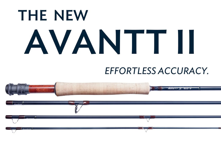 Thomas &amp; Thomas Avantt II 2