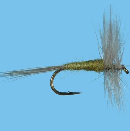 Solitude Blue Wing Olive