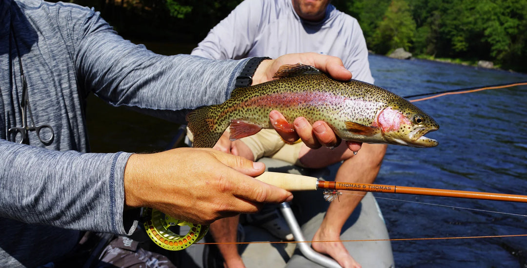 Thomas &amp; Thomas Lotic II 2 Freshwater Fly Rods